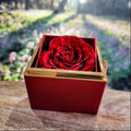 I'm Sorry Gifts For Her - Love Knot with Rotating Rose Gift Box
