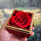 Breathing Interlocking - Daughter Birthday Necklace with Rose Box